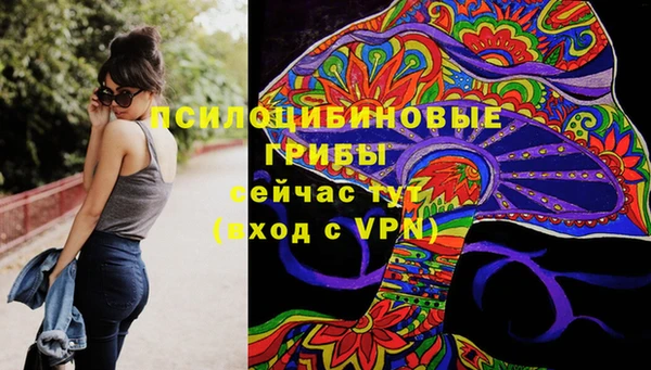 mdpv Ельня