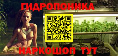 apvp Берёзовский