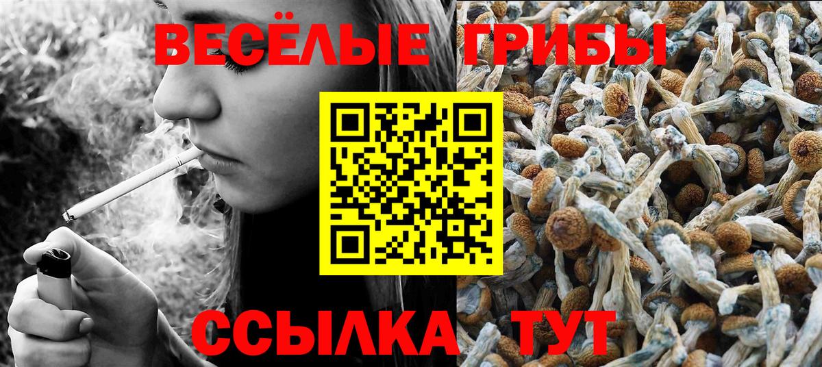 Галлюциногенные грибы Psilocybine cubensis  Выкса 